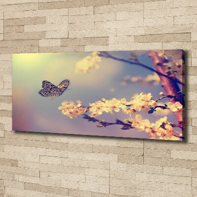 Foto obraz na płótnie Kwiat wiśni i motyl
