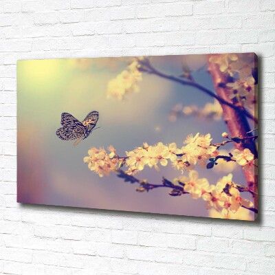 Foto obraz na płótnie Kwiat wiśni i motyl