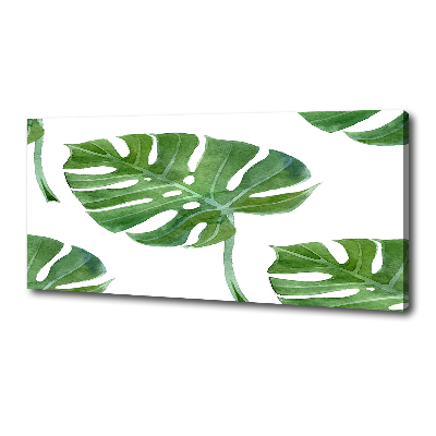 Foto obraz canvas Monstera