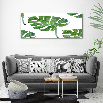 Foto obraz canvas Monstera