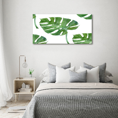 Foto obraz canvas Monstera