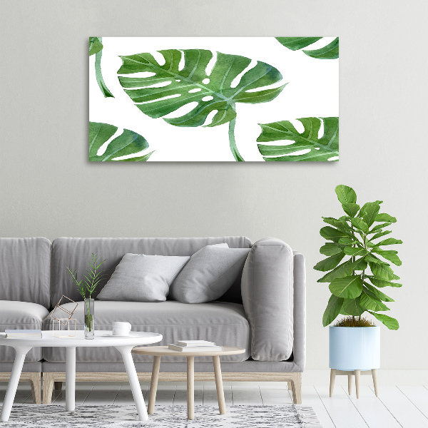 Foto obraz canvas Monstera