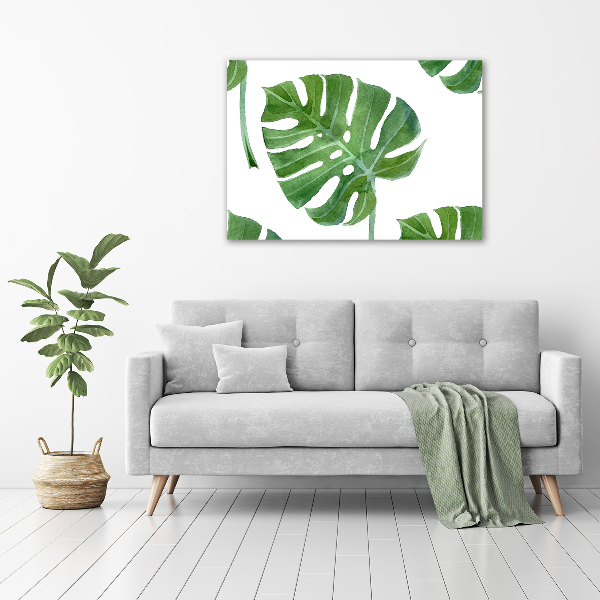 Foto obraz canvas Monstera