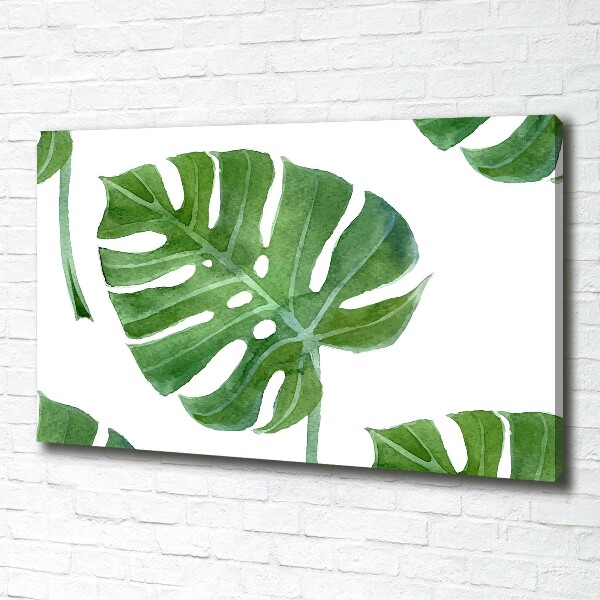 Foto obraz canvas Monstera