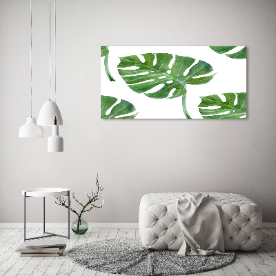 Foto obraz canvas Monstera