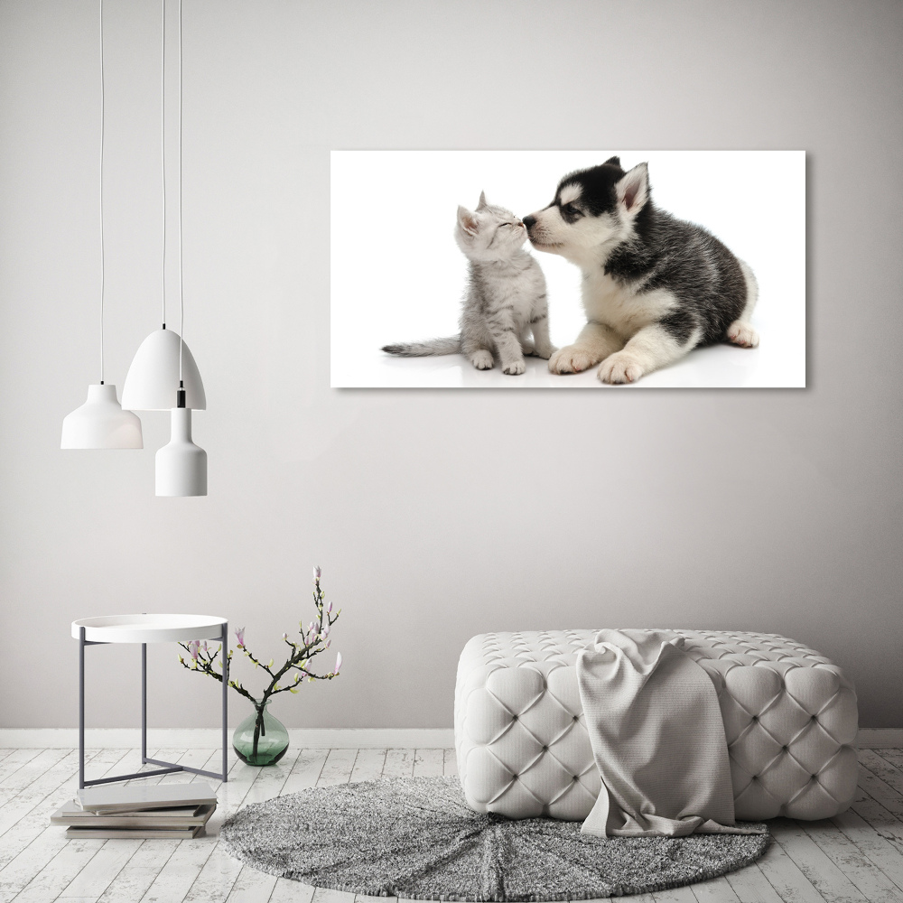 Foto obraz canvas Pies i kot