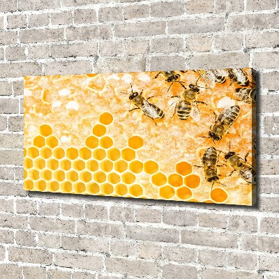Foto obraz na płótnie Pracujące pszczoły
