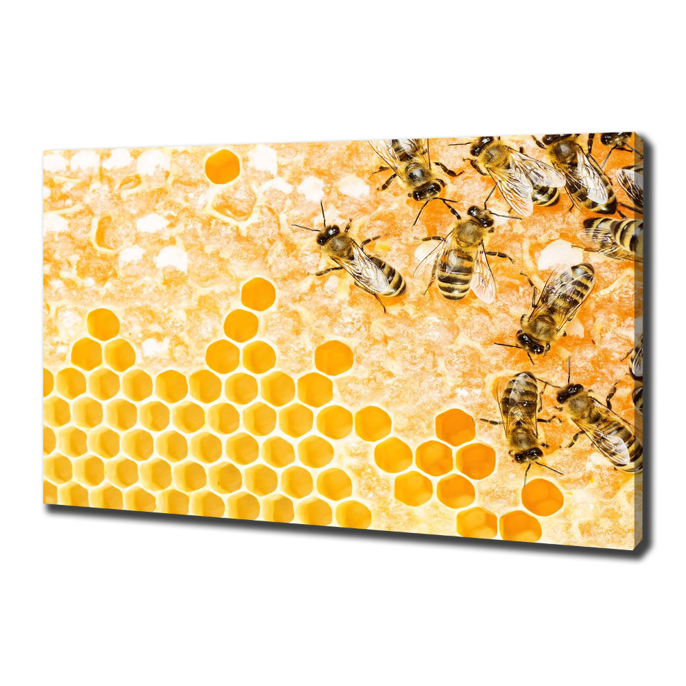 Foto obraz na płótnie Pracujące pszczoły