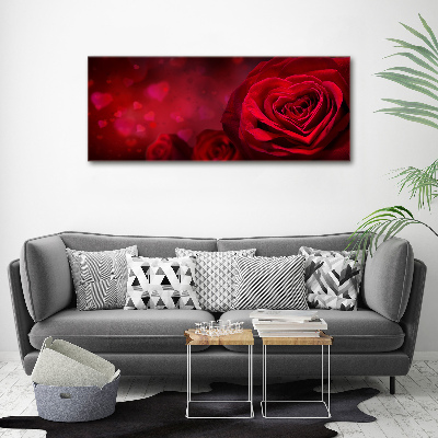 Foto obraz na płótnie Czerwona róża serca