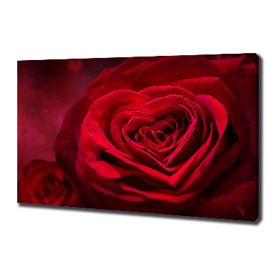 Foto obraz na płótnie Czerwona róża serca