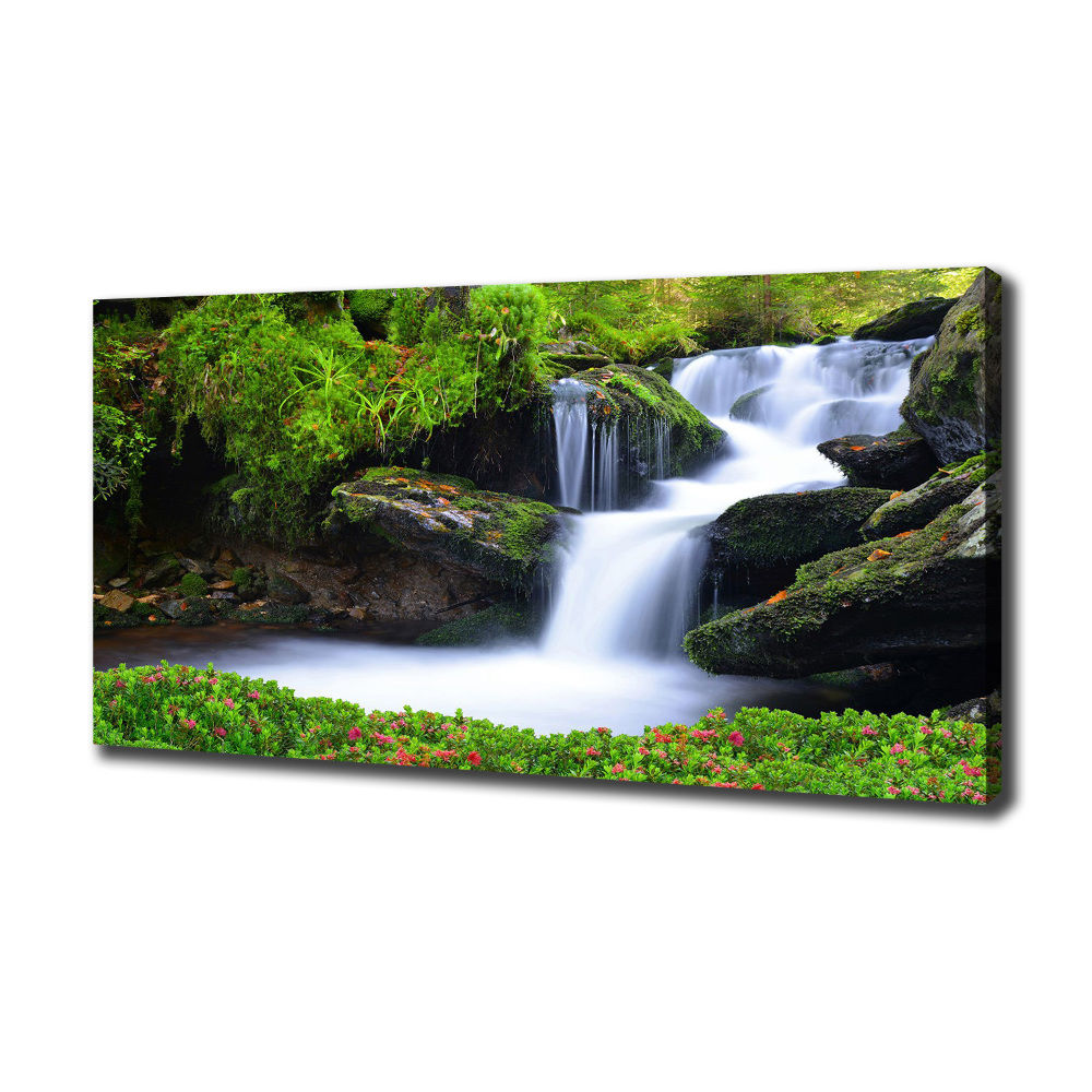 Foto obraz na płótnie Wodospad w lesie