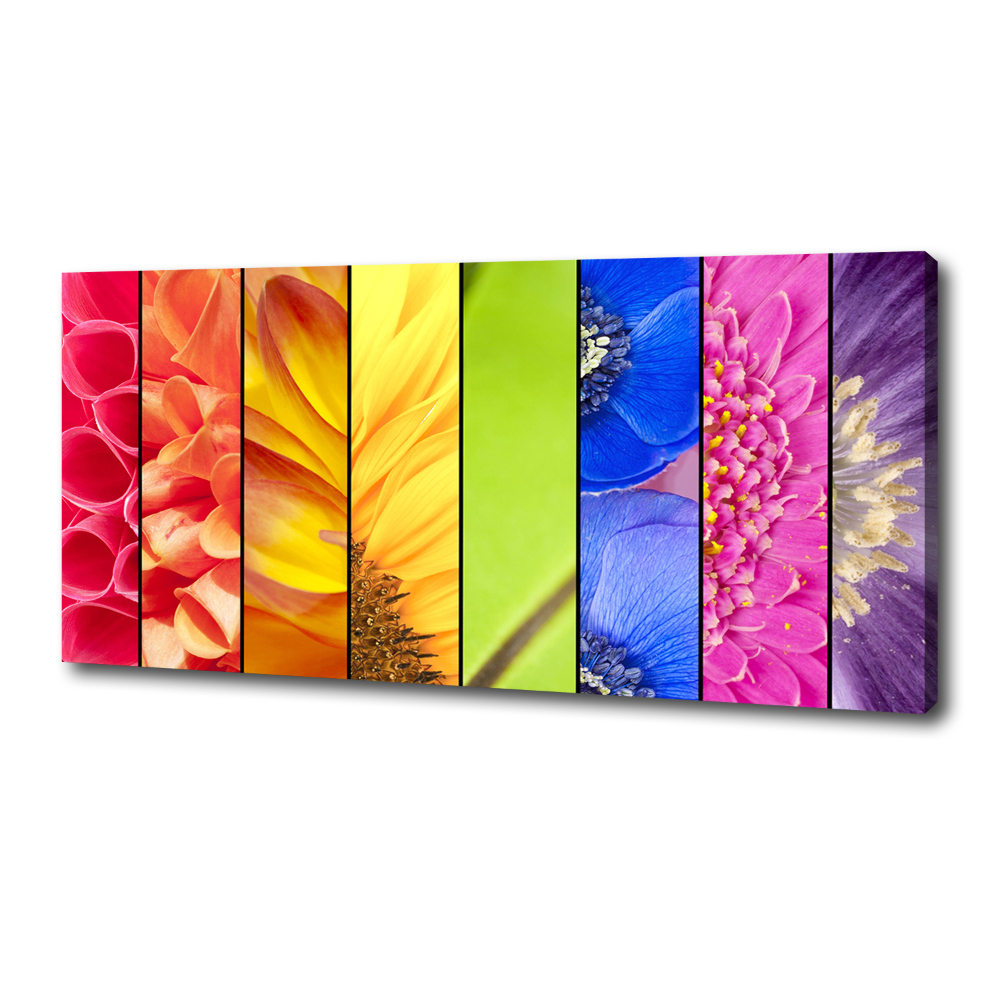 Foto obraz na płótnie Kolorowe kwiaty