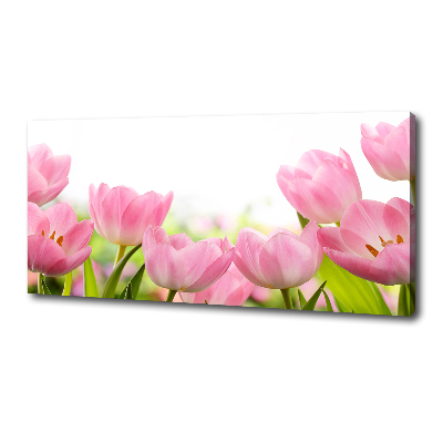 Foto obraz na płótnie Różowe tulipany