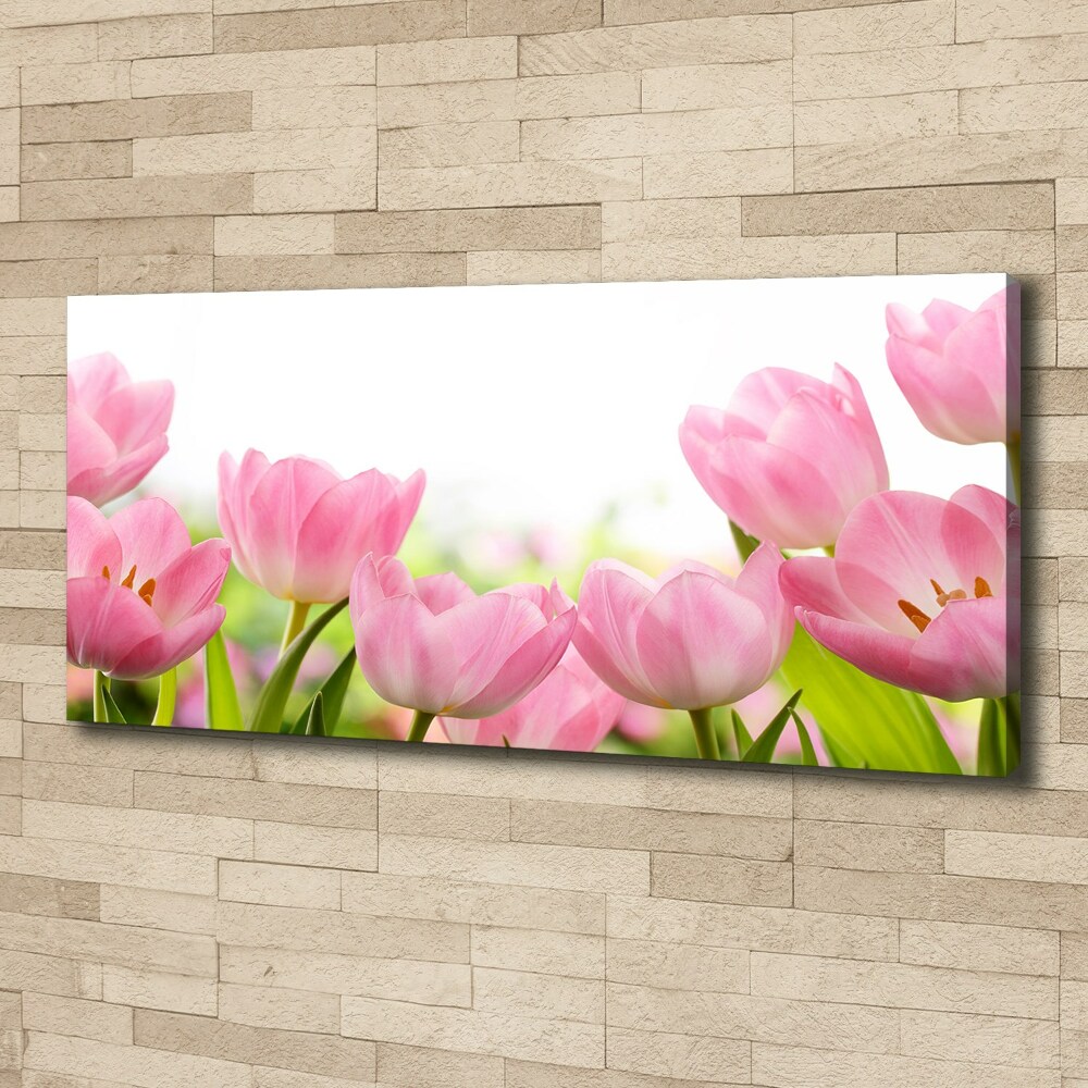 Foto obraz na płótnie Różowe tulipany