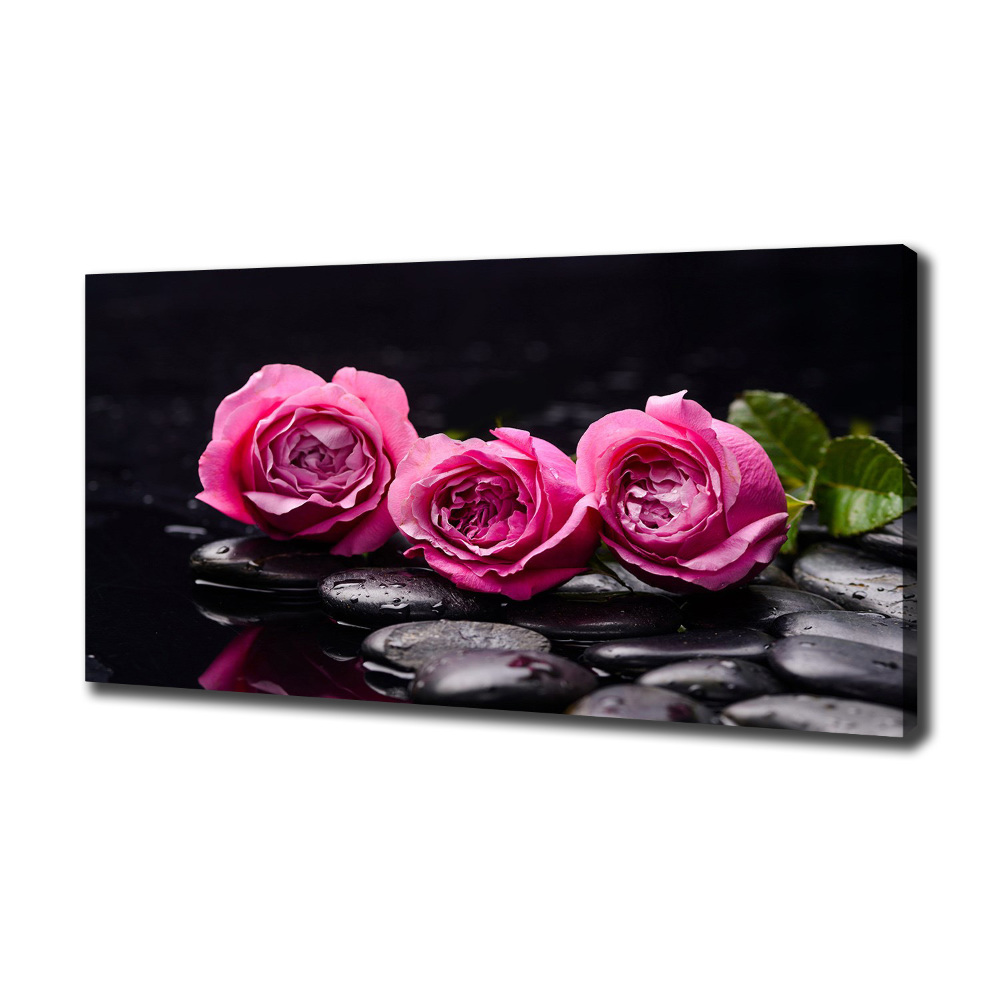 Foto obraz canvas Różowe róże