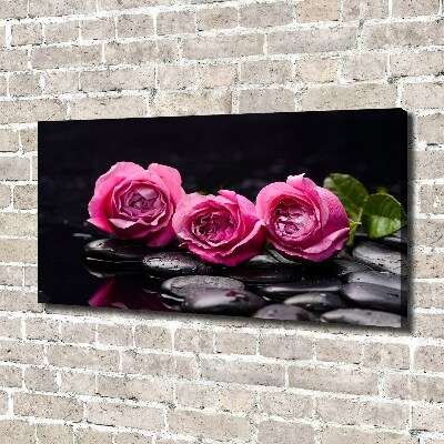 Foto obraz canvas Różowe róże