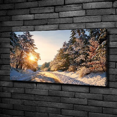 Foto obraz na płótnie Droga w lesie zimą