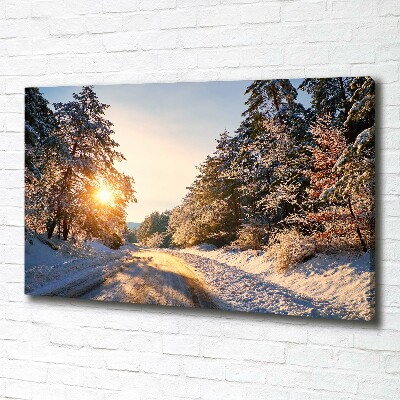 Foto obraz na płótnie Droga w lesie zimą