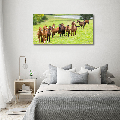 Foto obraz na płótnie Stado koni na łące
