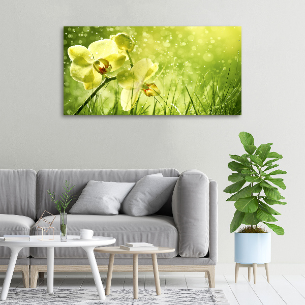 Foto obraz canvas Orchidea