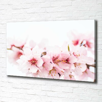 Duży Foto obraz na płótnie Kwiaty wiśni