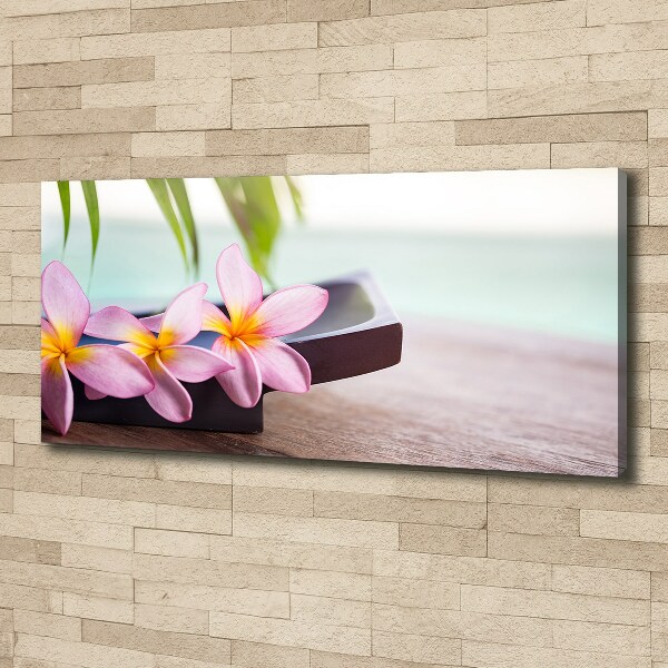 Foto obraz canvas Plumeria