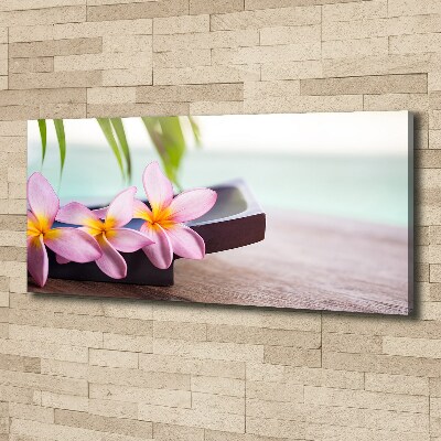 Foto obraz canvas Plumeria