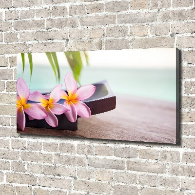 Foto obraz canvas Plumeria