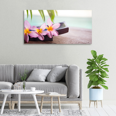 Foto obraz canvas Plumeria