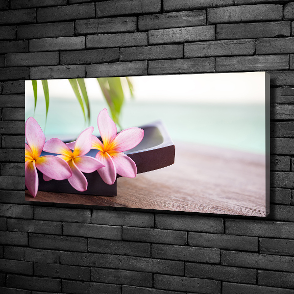 Foto obraz canvas Plumeria