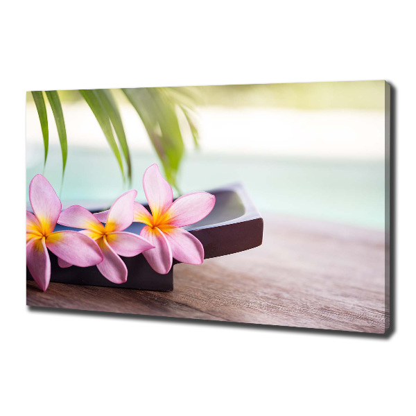 Foto obraz canvas Plumeria