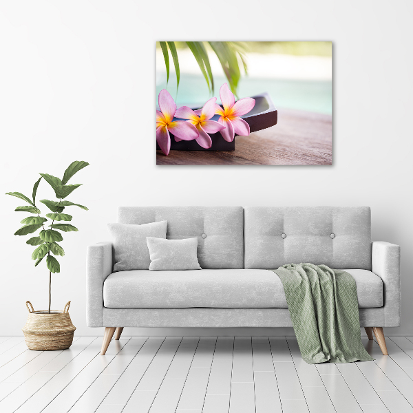 Foto obraz canvas Plumeria