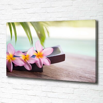 Foto obraz canvas Plumeria