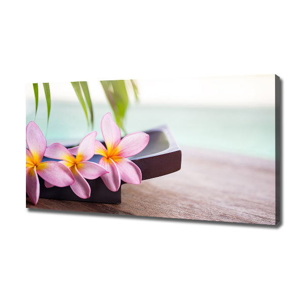 Foto obraz canvas Plumeria