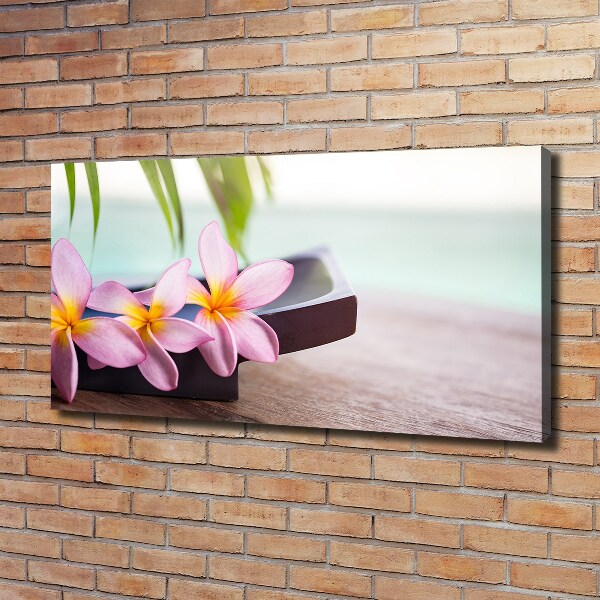 Foto obraz canvas Plumeria