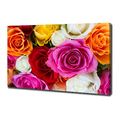 Foto obraz na płótnie Kolorowe róże