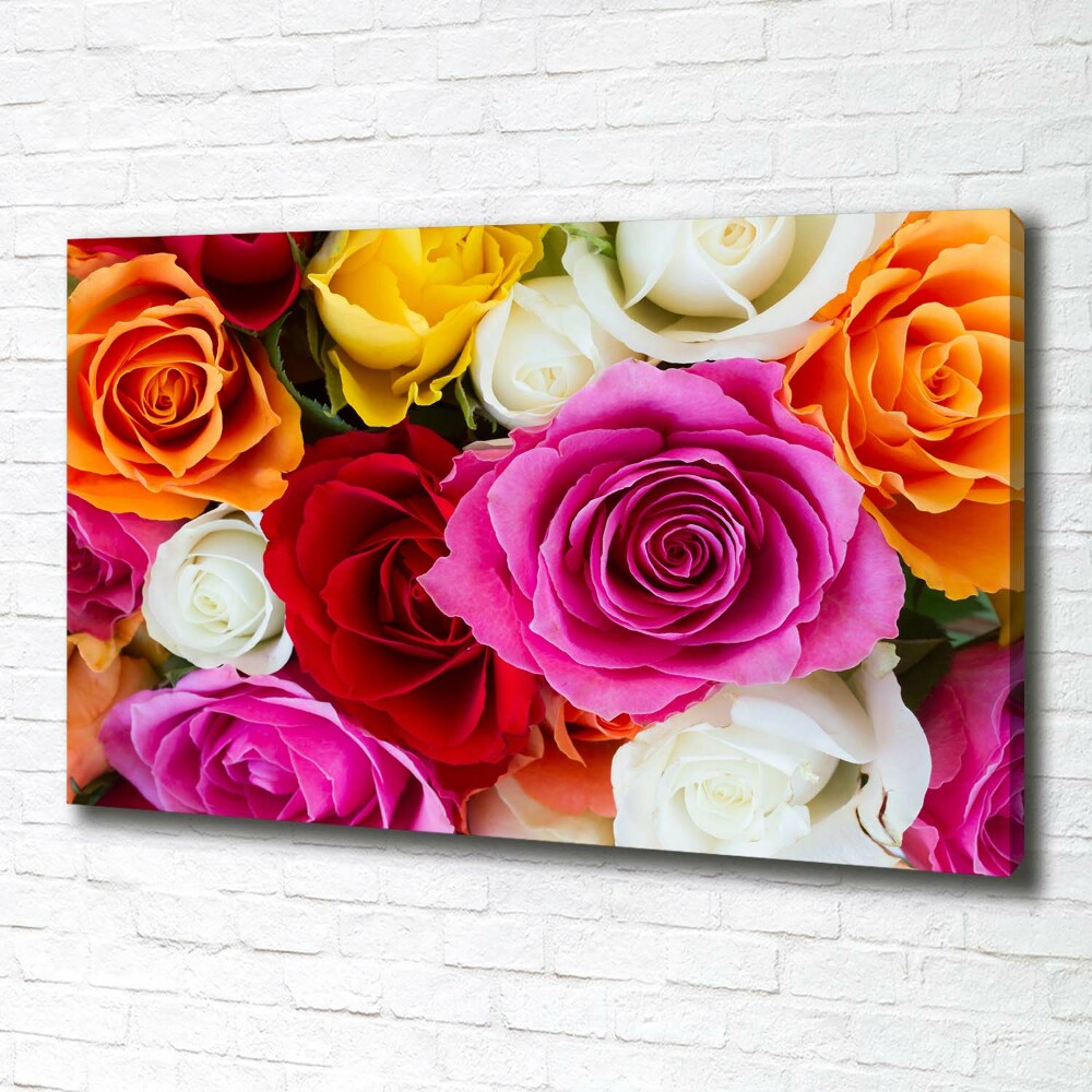 Foto obraz na płótnie Kolorowe róże