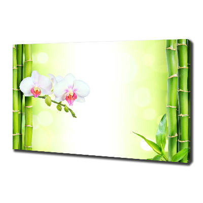 Foto obraz na płótnie Orchidea i bambus
