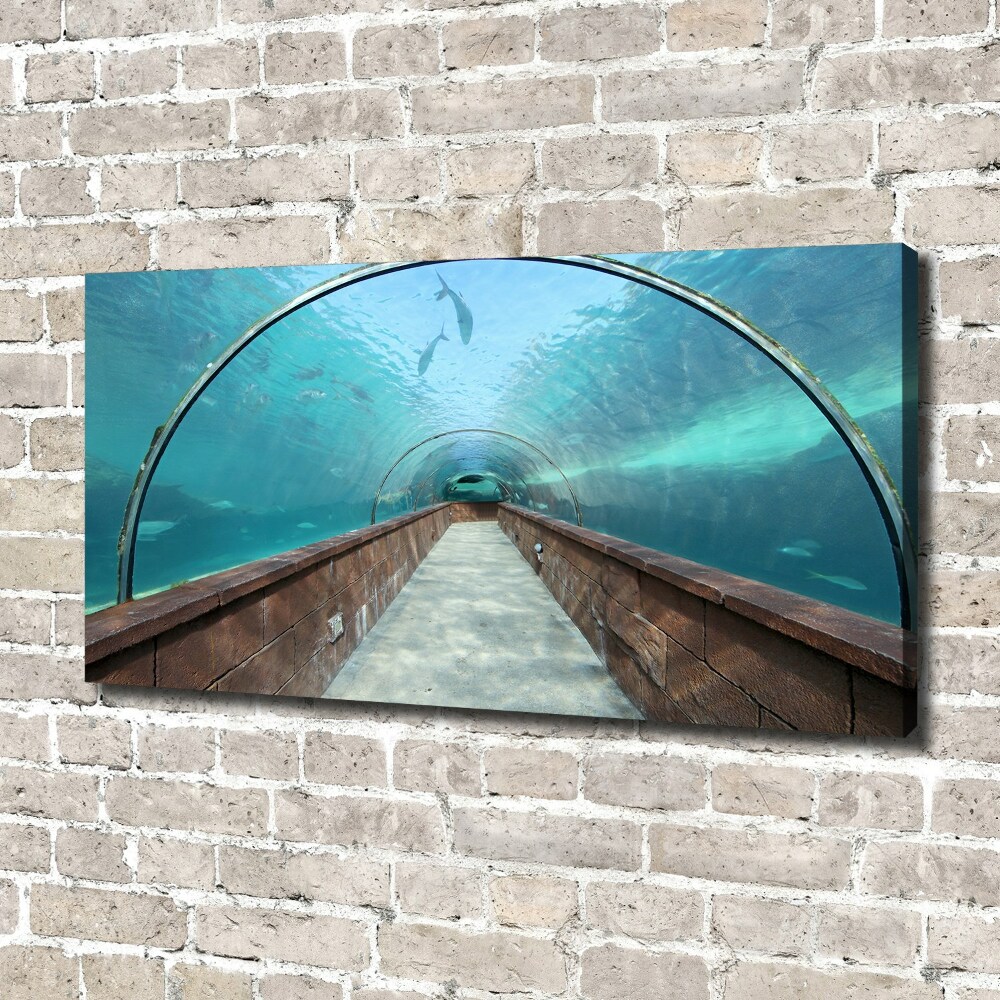 Foto obraz na płótnie Tunel akwarium