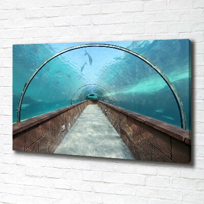Foto obraz na płótnie Tunel akwarium