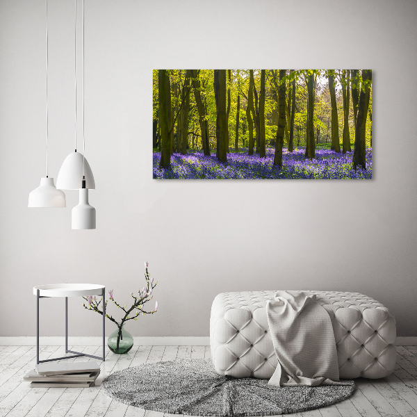 Foto obraz canvas Las wiosną