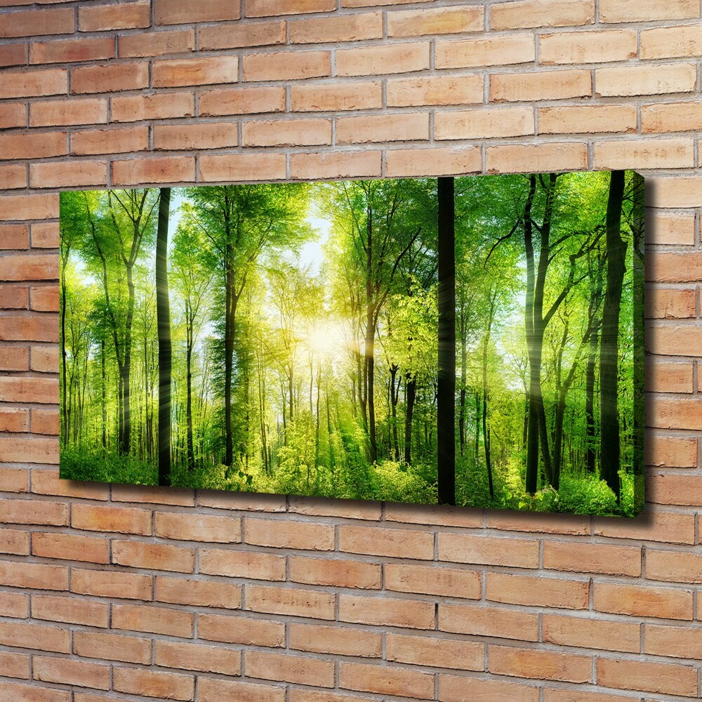 Duży Foto obraz na płótnie Las w słońcu
