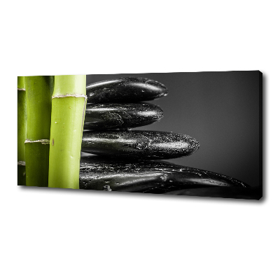Duży foto obraz na ścianę canvas Bambus