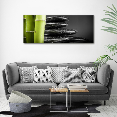 Duży foto obraz na ścianę canvas Bambus