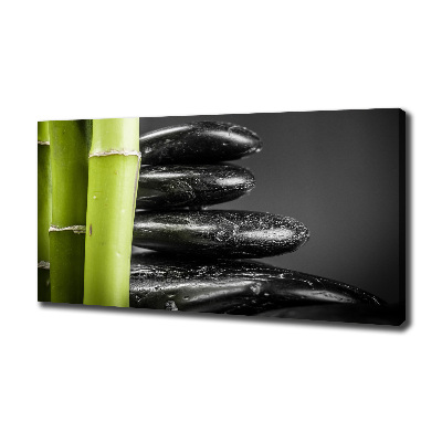 Duży foto obraz na ścianę canvas Bambus