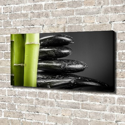 Duży foto obraz na ścianę canvas Bambus