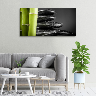 Duży foto obraz na ścianę canvas Bambus
