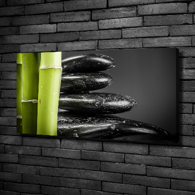 Duży foto obraz na ścianę canvas Bambus