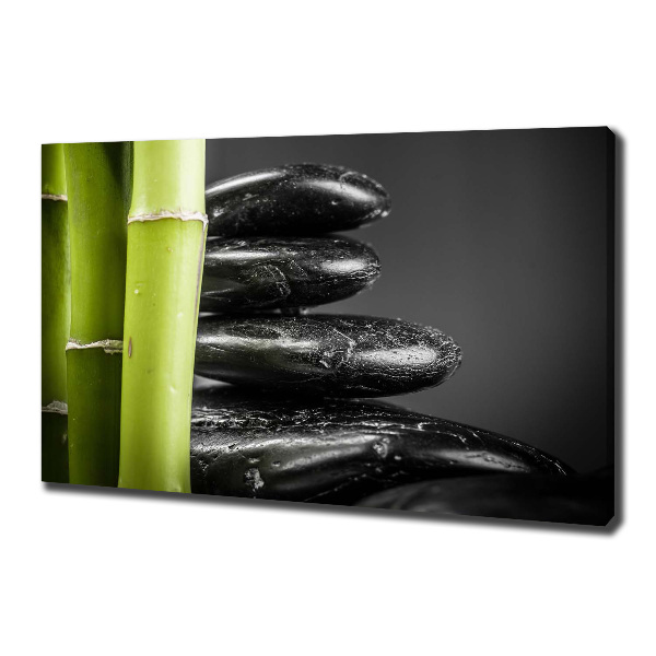 Duży foto obraz na ścianę canvas Bambus