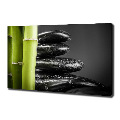 Duży foto obraz na ścianę canvas Bambus